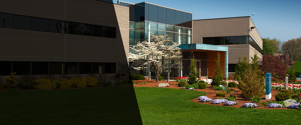 Blackduck Landscapers