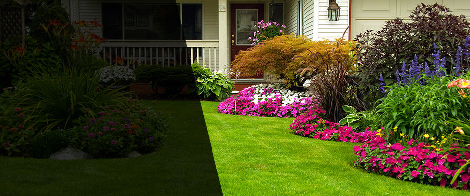 Blackduck Landscapers