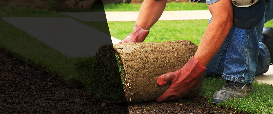 Blackduck Landscapers